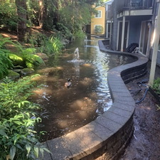 Spring-pressure-washing-for-Kirkland-springs-apartments 6